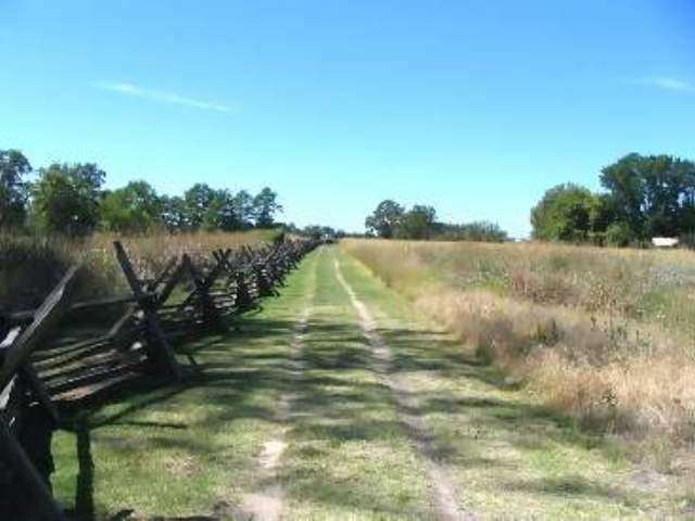 September

Wheels marks along the Oregon Trail near the site of the Whitman massacre
