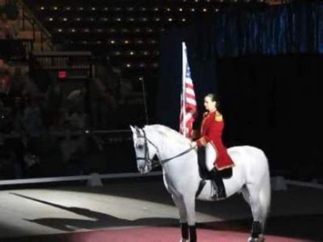 February

Lipizzaner Stallions performing at the Dodge Arena
Hildago, Texas