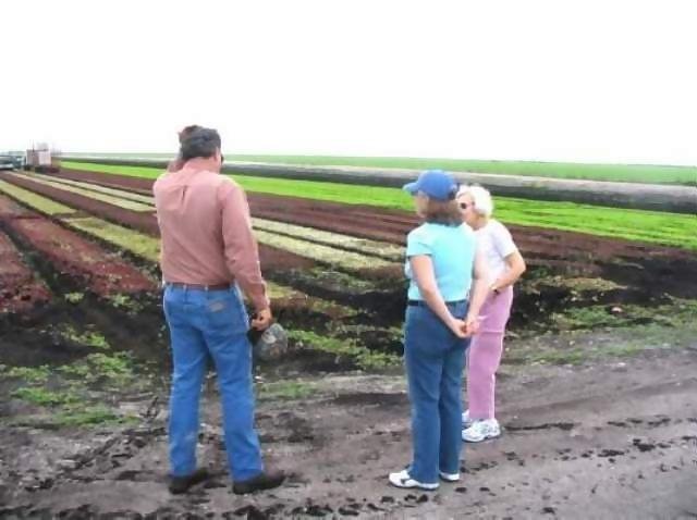 January

Maxine, Marie, and Maxine's nephew on his lettuce farm
Florida