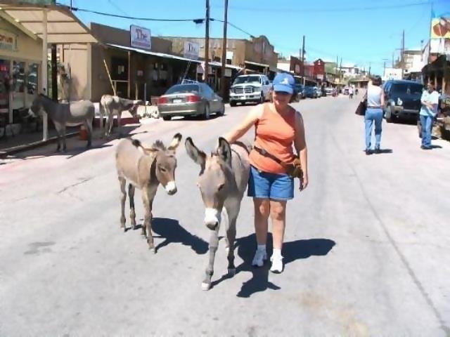 September

Marie's new friends on Route 66  (the donkeys roam free) 
Oatman, Arizona.