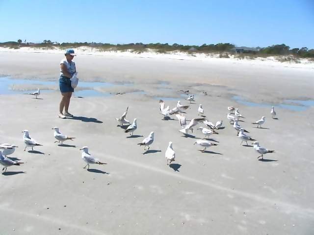 
April

Marie feeding birds on the beach

Myrtle Beach, South Carolina