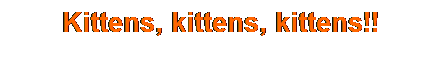 Text Box: Kittens, kittens, kittens!!
